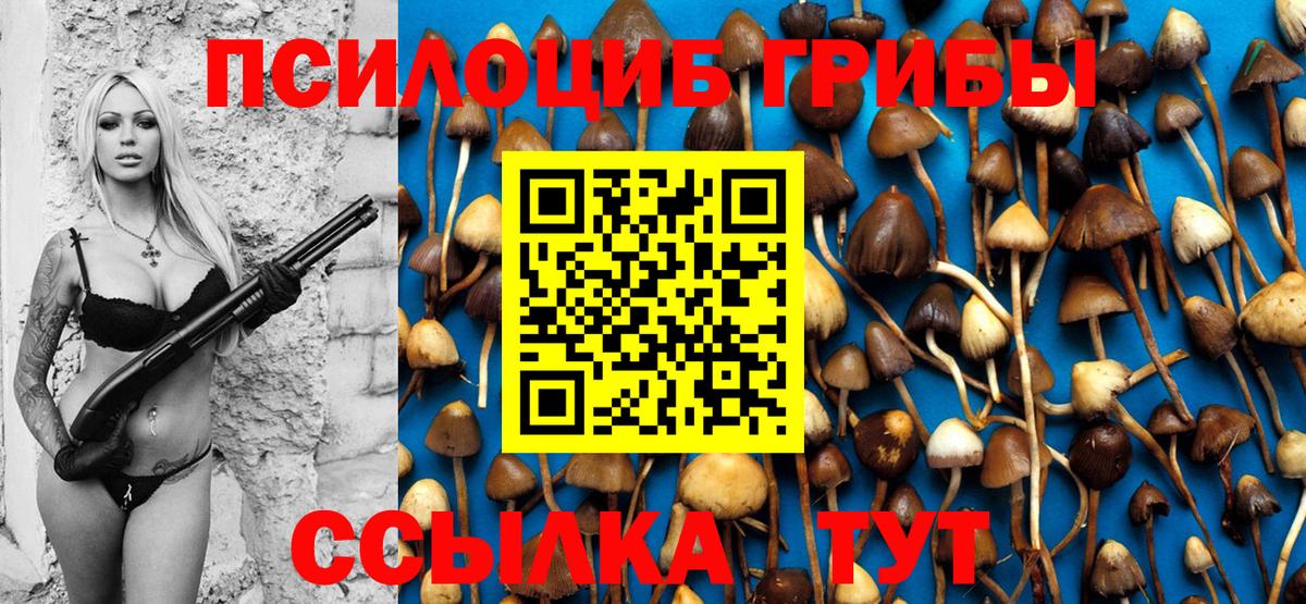 Луга  Галлюциногенные грибы Psilocybe  Вход с VPN 